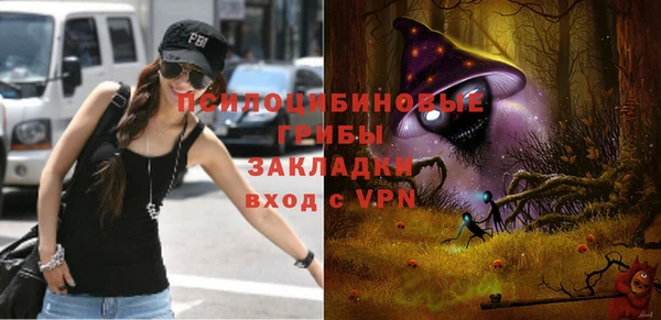 a pvp Алзамай