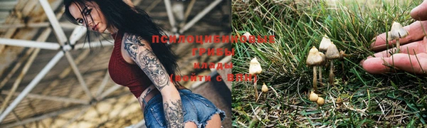 спайс Алексин
