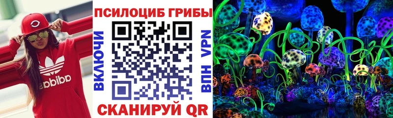 Галлюциногенные грибы Psilocybine cubensis Северодвинск