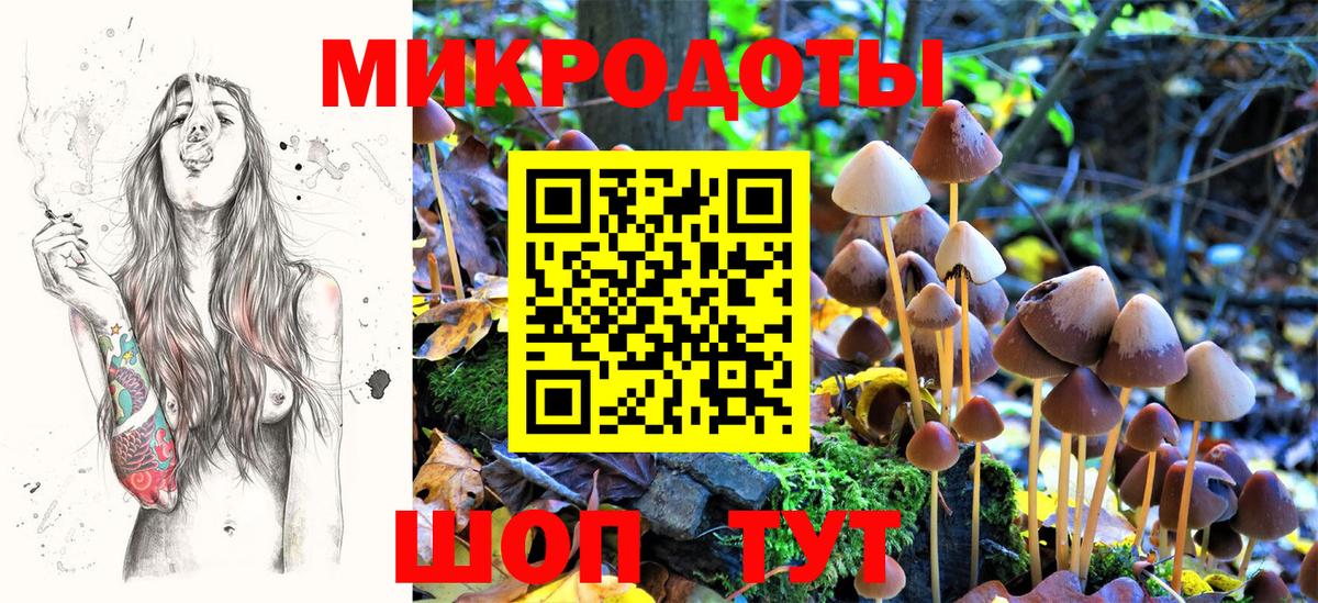 Псилоцибиновые грибы Magic Shrooms Северодвинск