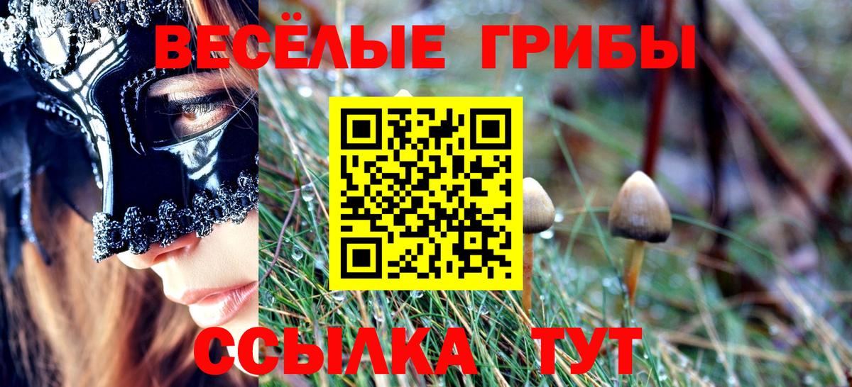 Северодвинск  Псилоцибиновые грибы мицелий  Галлюциногенные грибы Cubensis  Вход с VPN 