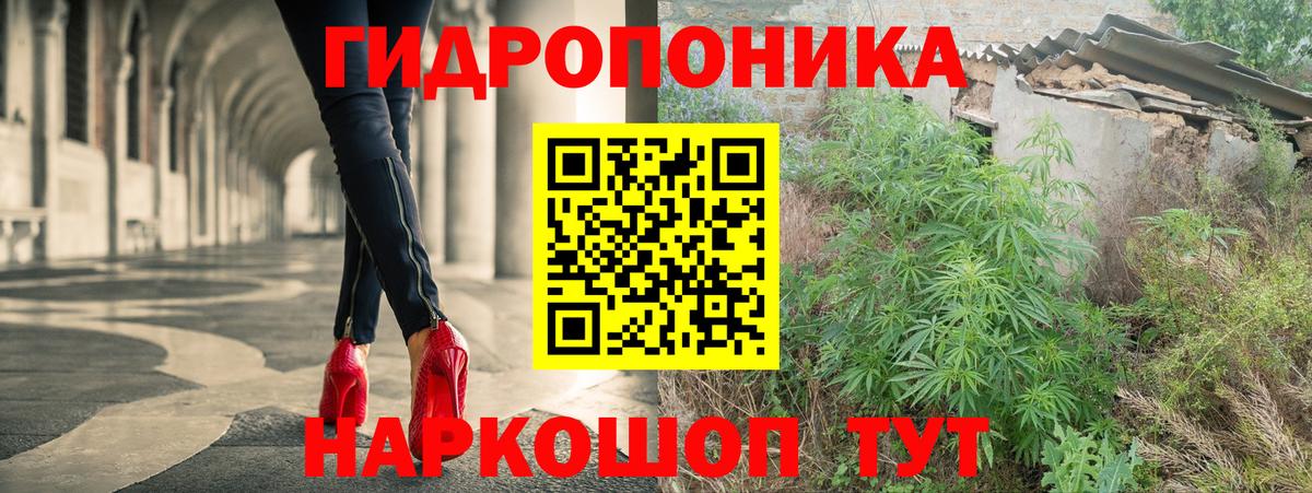 Бошки марихуана Bruce Banner Северодвинск